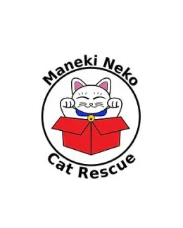 Maneki Neko Cat Rescue