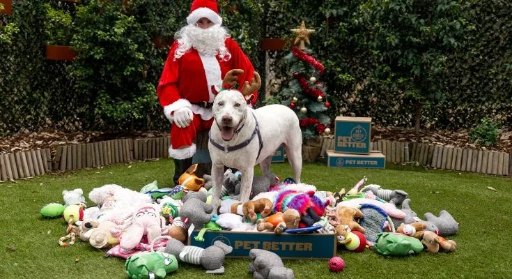 Donating pet supplies
