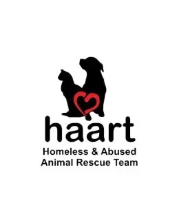 Homeless and Abused Animal Rescue Team