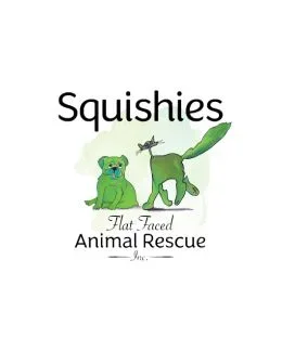Squishies Flat Faced Animal Rescue