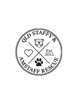 QLD Staffy and Amstaff Rescue