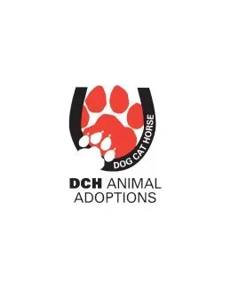 DCH Animal Adoption