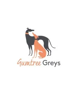 Gumtree Greys