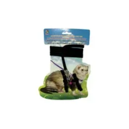 Small Animal Care