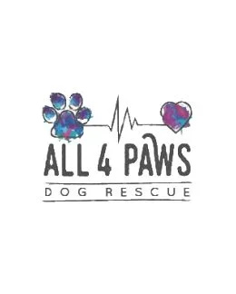 All 4 Paws