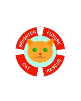 Brighter Future Cat Rescue