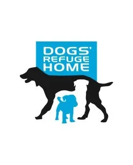 Dogs' Refuge Home