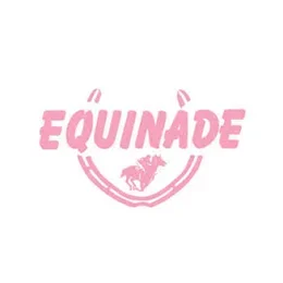 Equinade