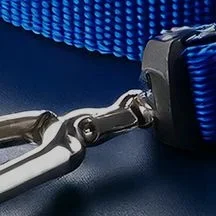 Leads