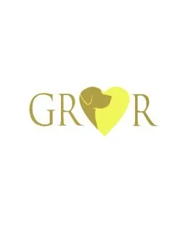 Golden Retriever Rescue