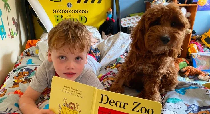 Granting sick kids' pet wishes