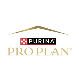 Pro Plan