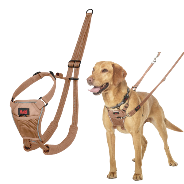 Halti No Pull Dog Harness Desert Sand