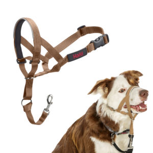 Halti Headcollar Dog Desert Sand - Size 2