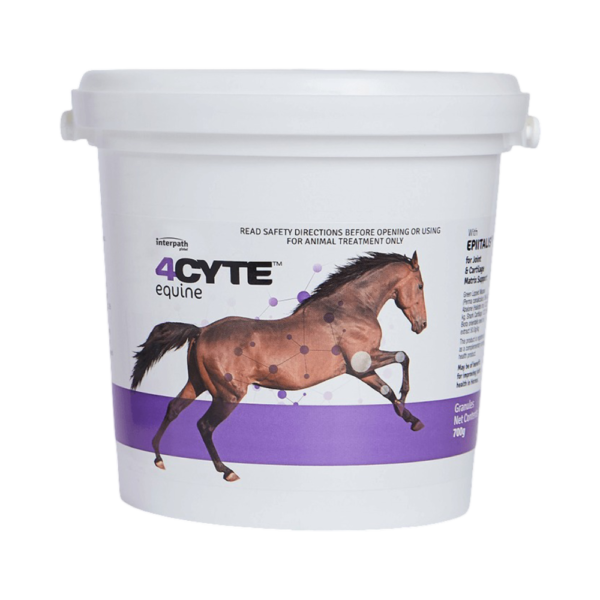 4cyte Equine Granules Joint Health Support Granules