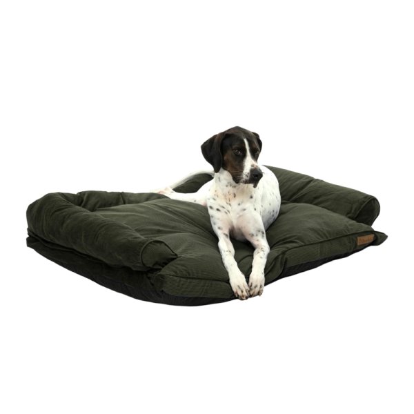 Charlies Pet Corduroy Sofa Bed Green