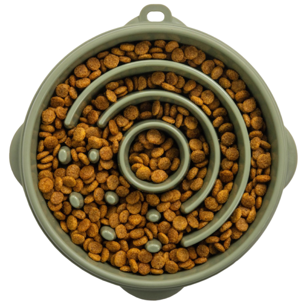 Outward Hound Fun Feeder Circle Sage Slow Feeder Dog Bowl – Large