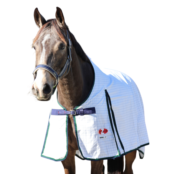 Zilco Supastop White Horse Rug With Green Navy Trim