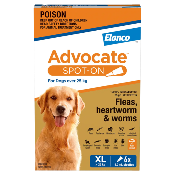 Advocate Blue Spot-On for Extra Large Dogs