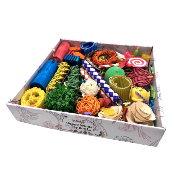 Beakjoy Happy Wings Foraging Bird Toy Box
