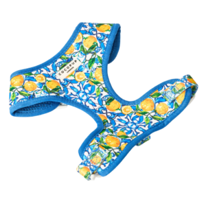 Cocopup London Adjustable Neck Dog Harness in Amalfi Lemons - X Small