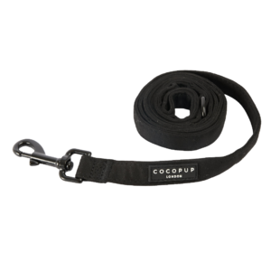 Cocopup London Classic Padded Dog Lead in Black Aviator Suede - One Size