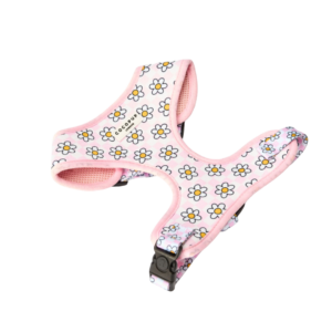 Cocopup London Adjustable Neck Dog Harness in Daisy Gingham Pink - Medium