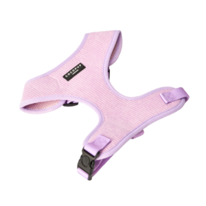 Cocopup London Adjustable Neck Dog Harness in Lilac Cord Purple - Small