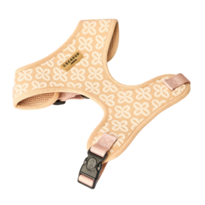 Cocopup London Adjustable Neck Dog Harness in Luxe Vanilla Flower - Small
