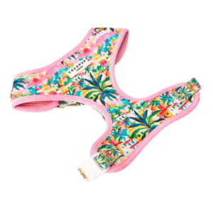 Cocopup London Adjustable Neck Dog Harness in Portofino Pup Summers - Small