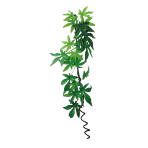 Eco Tech Reptile Hanging Albulliton With Vine Plant Decor - One Size