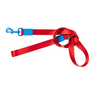 Fuzzyard Sugar Rush Dog Lead Cherry Charge - small