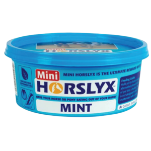 Horslyx Mint Mini Vitamin And Mineral Lick - 650g