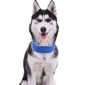 Paws For Life Summer Dog Cooling Collar Scarf in Blue - Medium