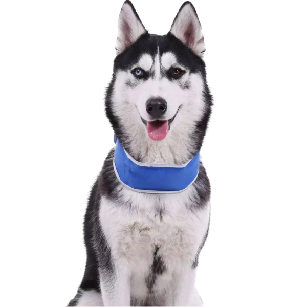 Paws For Life Summer Dog Cooling Collar Scarf in Blue