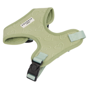 Cocopup London Adjustable Neck Dog Harness in Sage Heart Green - Large