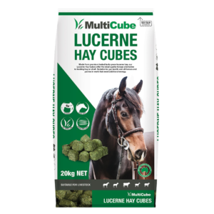 Multicube Lucerne Hay Cubes - 20kg