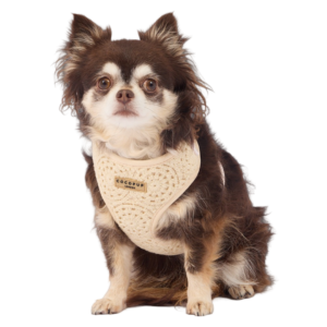 Cocopup London Adjustable Neck Dog Harness in Festival Crochet - Small