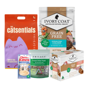 Better Bundles Ivory Coat Kitten Bundle - One Size