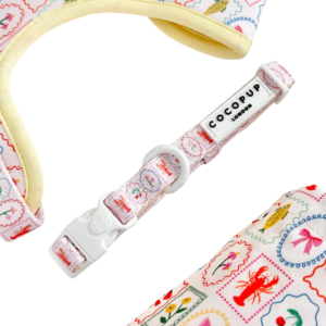 Cocopup London Padded Dog Collar in Dolce Vita Vacay - X Small