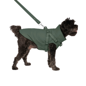 Canada Pooch Dog Raincoat With Harness Forest Green - size 12