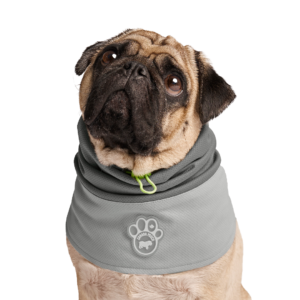 Canada Pooch Max Chill Cooling Grey Dog Snood - Small