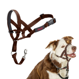 Halti Dog Head Collar in Deep Walnut - Size 2