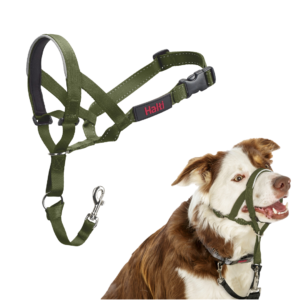Halti Dog Head Collar in Forest Green - Size 2