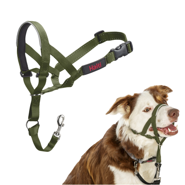 Halti Dog Head Collar in Forest Green