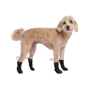 Canada Pooch Waterproof Dog Rainboots Black - size 4
