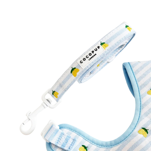 Cocopup London Classic Padded Dog Lead in Livin La Vida Lemon Summer – One Size
