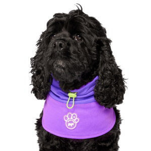 Canada Pooch Max Chill Cooling Dog Snood Purple - large