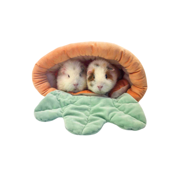 Ozzy Cages Cuddly Carrot Bed Guinea Pig Sofy Bed – One Size