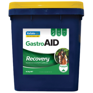 Kelato Gastroaid Recovery Gastric Ulcer Support Horse Supplement - 10.5kg